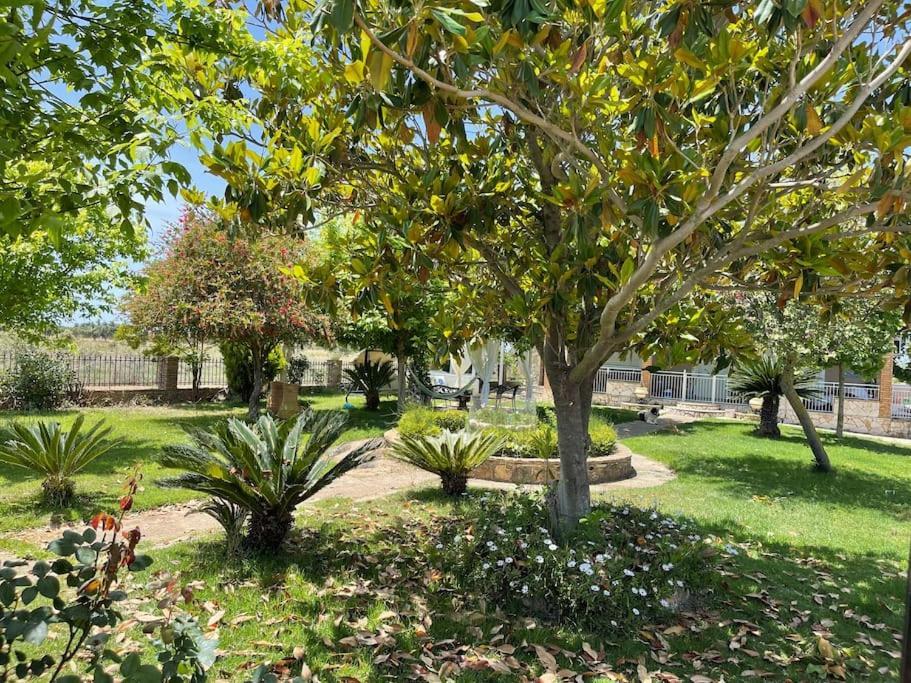 Mama’s Sunshine Garden Villa Agios Ilias  Exterior foto