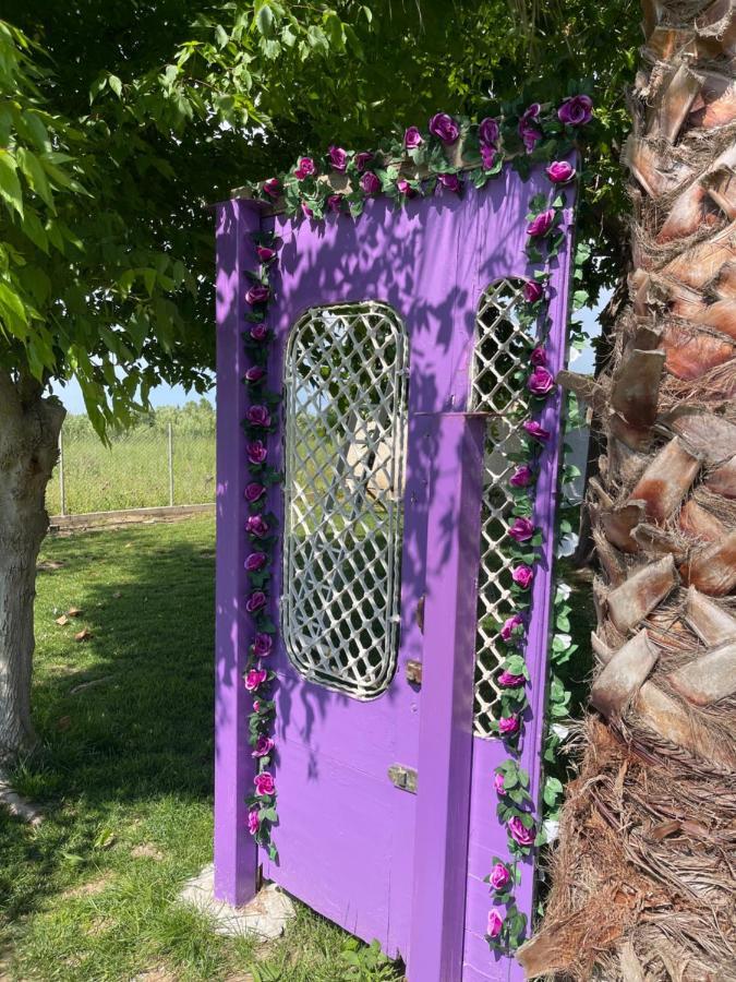 Mama’s Sunshine Garden Villa Agios Ilias  Exterior foto