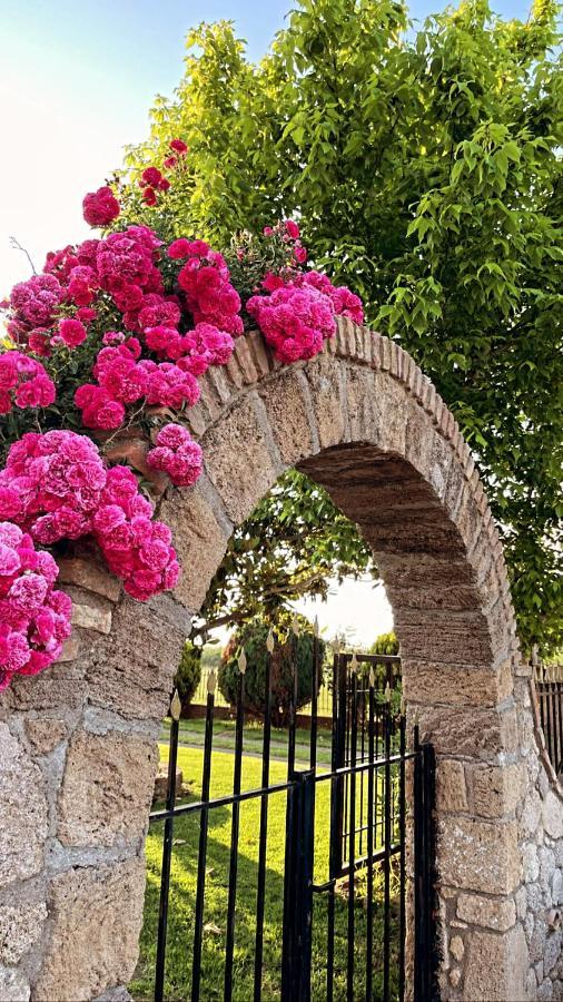 Mama’s Sunshine Garden Villa Agios Ilias  Exterior foto