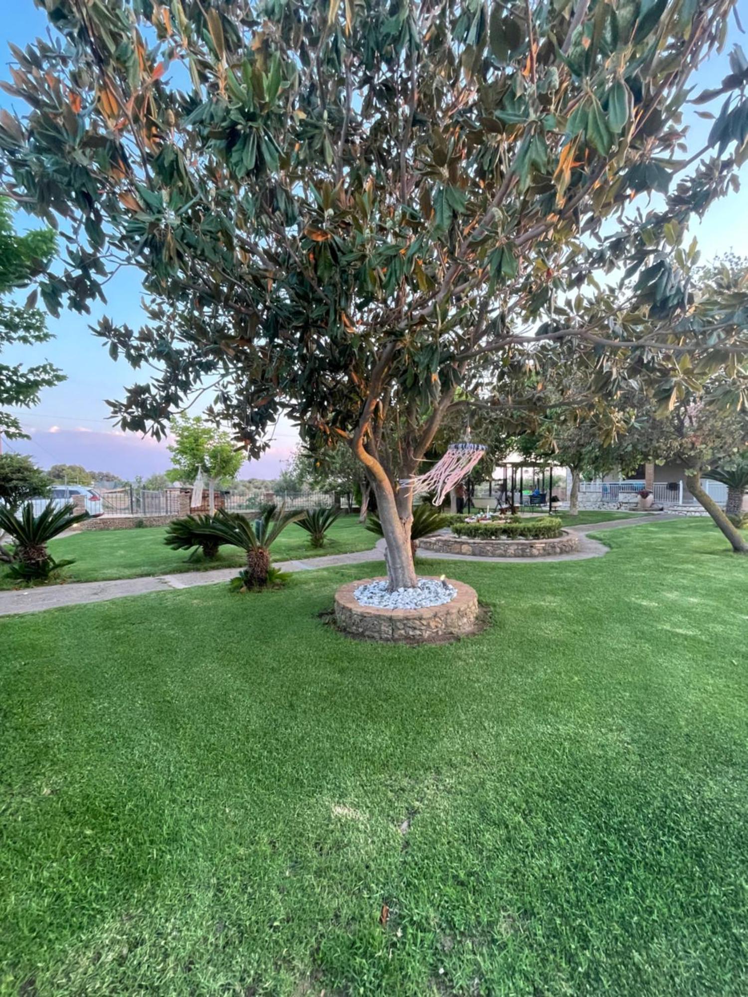 Mama’s Sunshine Garden Villa Agios Ilias  Exterior foto